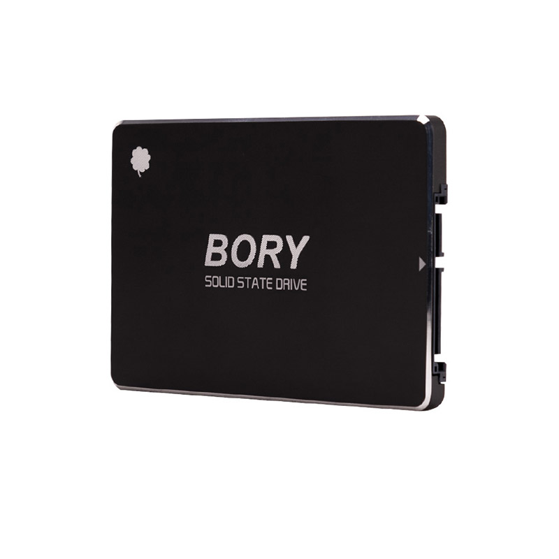 Bory%20R500-C128G%20Sata3%20128%20Gb%20SSD%20550/510%20Mbs%20Harddisk