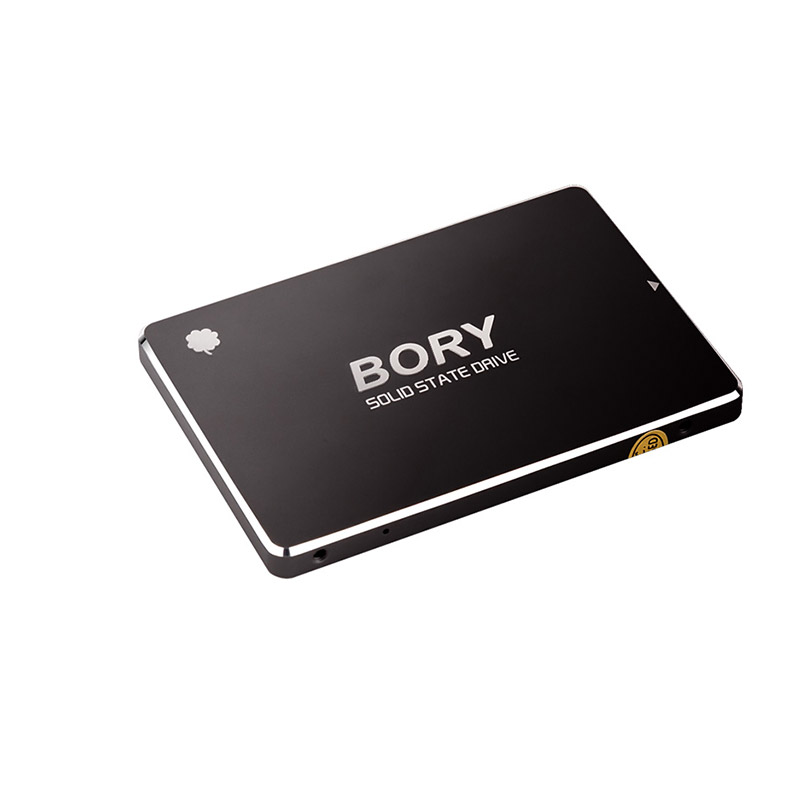 Bory%20R500-C128G%20Sata3%20128%20Gb%20SSD%20550/510%20Mbs%20Harddisk