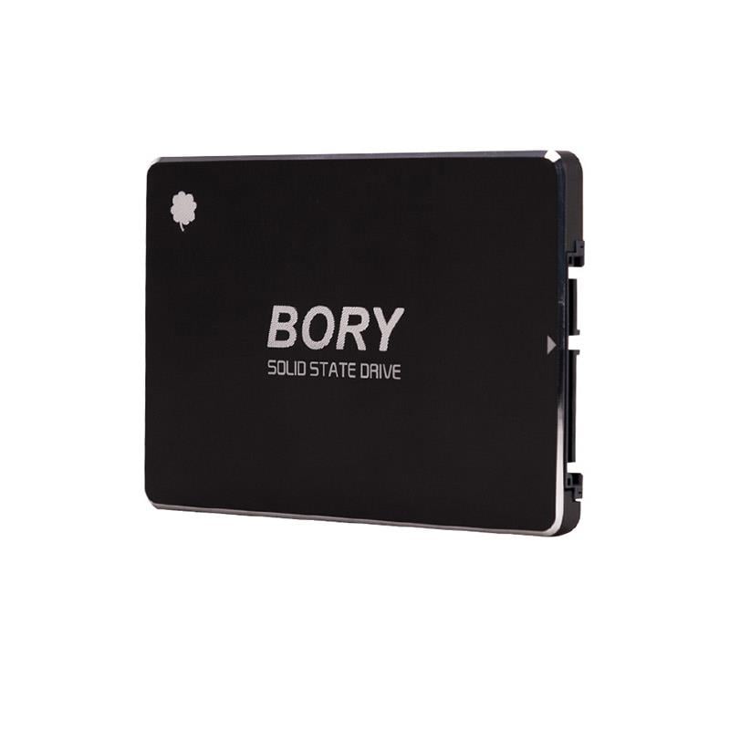 Bory%20R500-C256G%20Sata3%20256%20Gb%20SSD%20550/510%20Mbs%20Harddisk