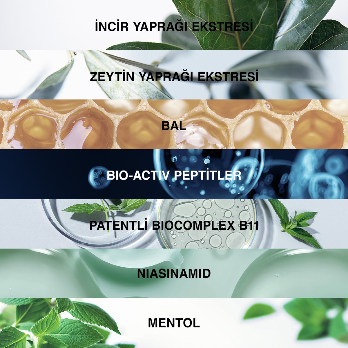Bioxcin%20Genesis%20Yağlı%20Saçlar%20İçin%20Saç%20Şampuan%20300%20ml