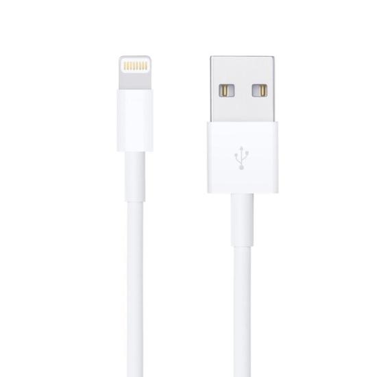 Powermaster DK-18295 Lightning 1 Metre Iphone Şarj-Data Kablosu