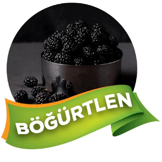 NİKOTİN, KATRAN, ARSENİK, GLİKOZ, KROM, KURŞUN İÇERMEZ