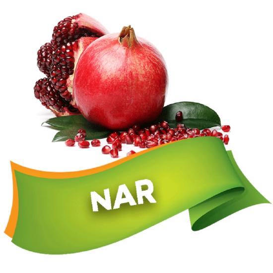 NİKOTİN, KATRAN, ARSENİK, GLİKOZ, KROM, KURŞUN İÇERMEZ