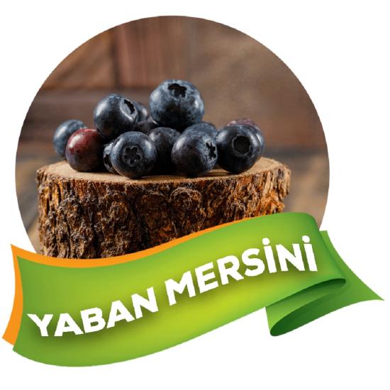 NİKOTİN, KATRAN, ARSENİK, GLİKOZ, KROM, KURŞUN İÇERMEZ